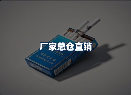 专业团队办公环境
